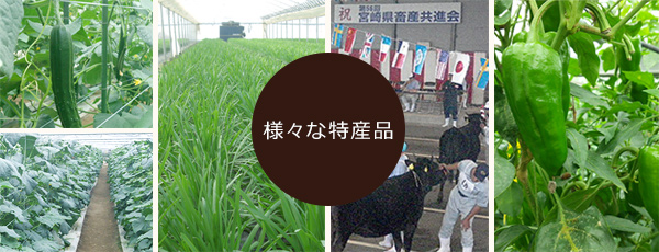様々な特産品